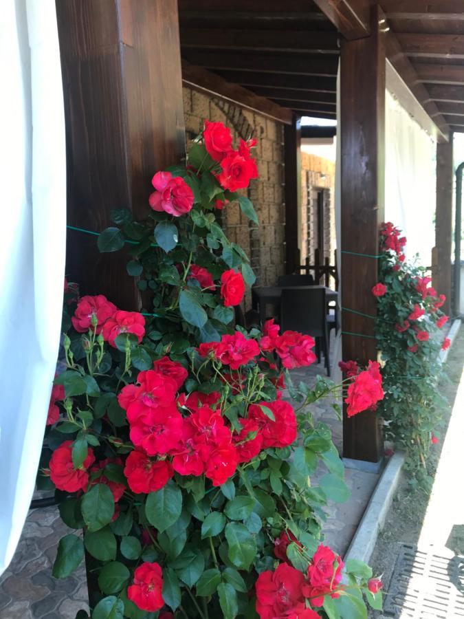 Agriturismo A Casa Di Susanna Santo Stefano del Sole Экстерьер фото