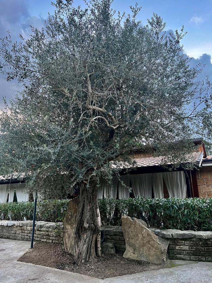 Agriturismo A Casa Di Susanna Santo Stefano del Sole Экстерьер фото